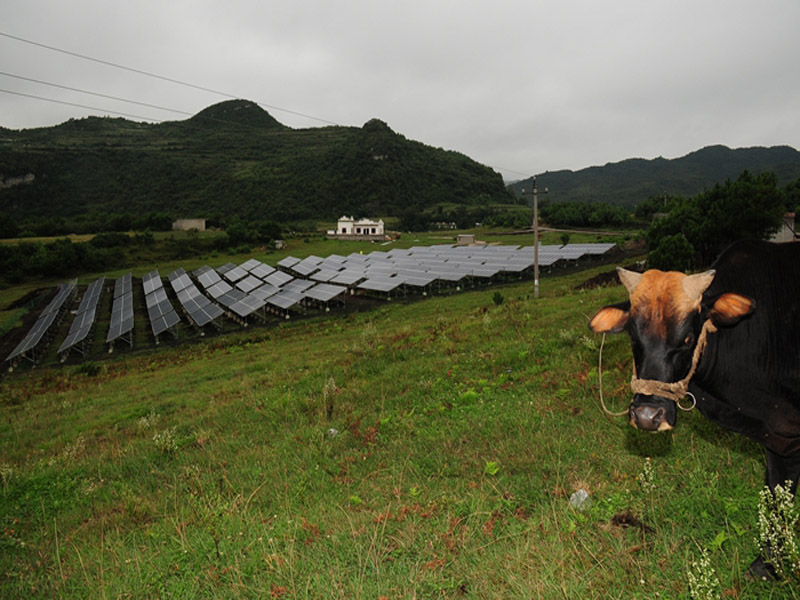 Mercado en alza de la energía fotovoltaica en Italia